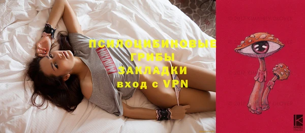 хмурый Богородицк