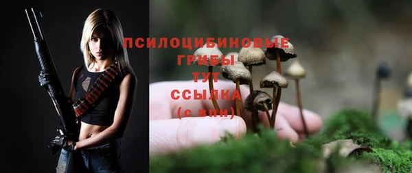 хмурый Богородицк