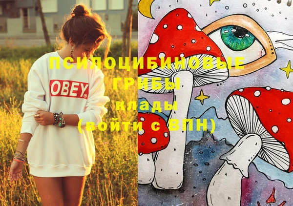 хмурый Богородицк